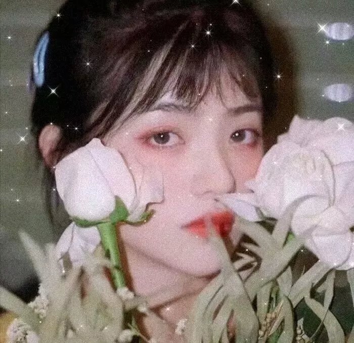 我的夏日恋曲